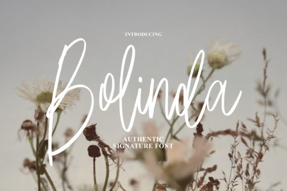 Bolinda: A Script Font That Feels Like a Thoughtful Pause