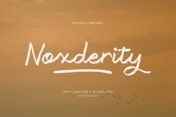 Noxderity: A Font That Breathes Life Into Your Creations