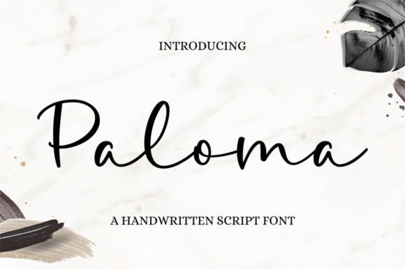 Paloma: A Refined Script Font for Digital Branding